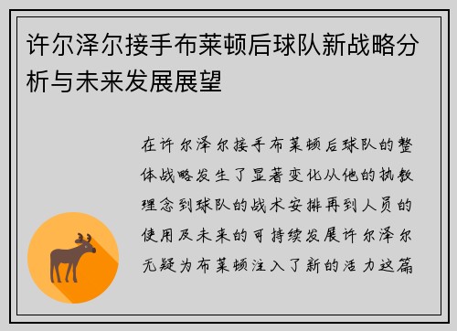许尔泽尔接手布莱顿后球队新战略分析与未来发展展望 许尔泽尔接手布莱顿后球队新战略分析与未来发展展望